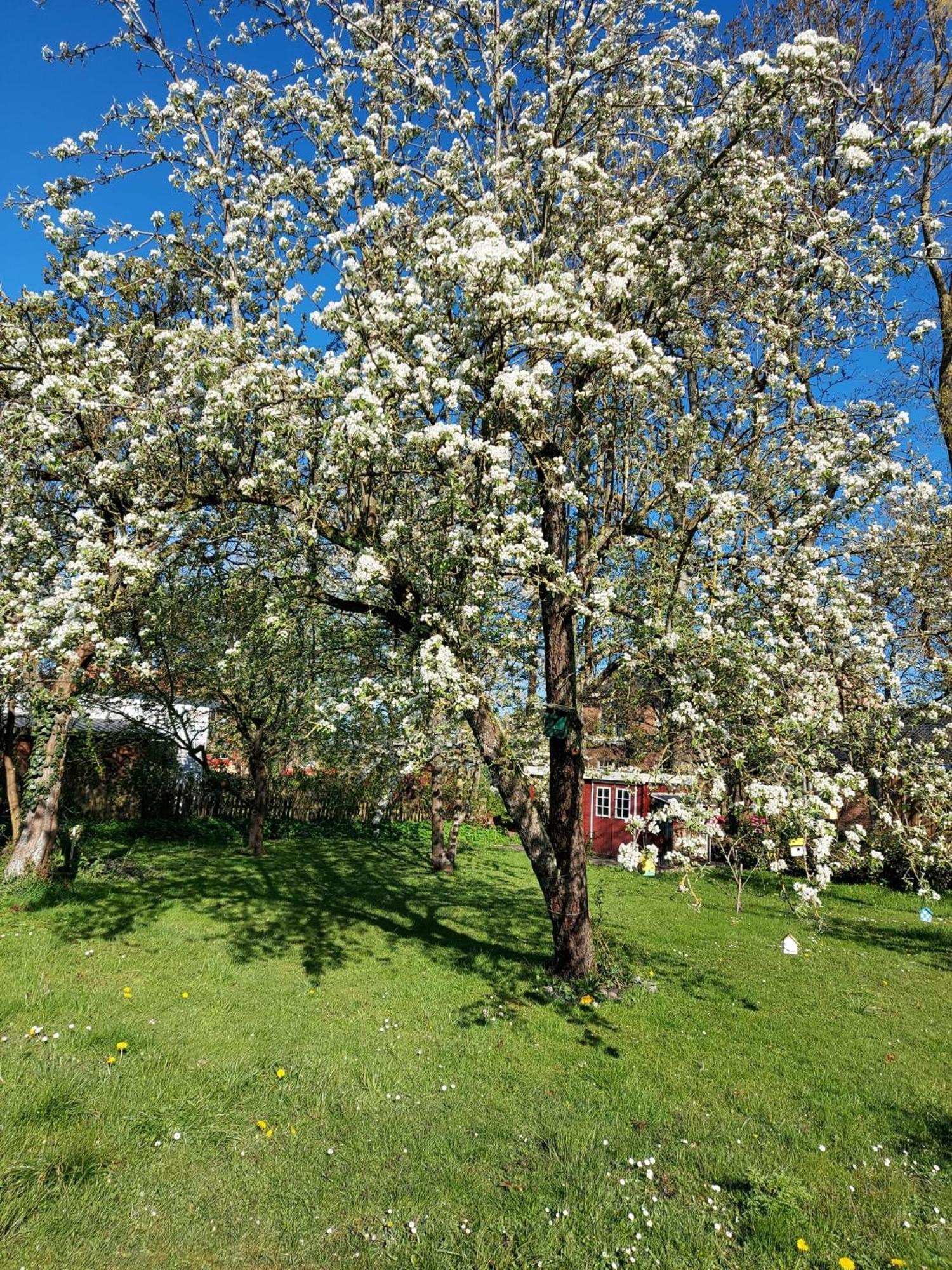 Marthas Insel Daire Oldenswort Dış mekan fotoğraf